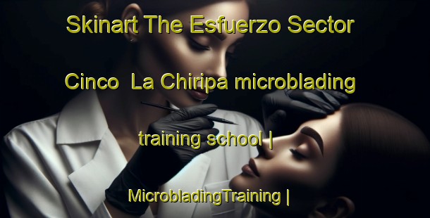 Skinart The Esfuerzo Sector Cinco  La Chiripa microblading training school | MicrobladingTraining | MicrobladingClasses | SkinartTraining-Mexico
